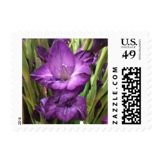 Purple Gladiolus Flower Stamps