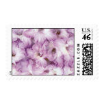 flower, gladiolus, glad, floral, garden, gardener,