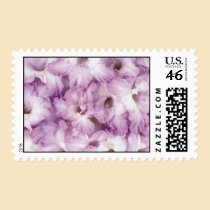 Purple Glads All Occasion postage by Spice Purple Glads All Occasion postage