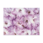flower, gladiolus, glad, floral, garden, gardener,