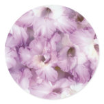 flower, gladiolus, glad, floral, garden, gardener,
