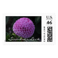 Purple Globe Dahlia Stamp stamp