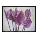 Purple Glory  by TDGallery posters