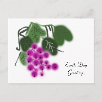 purple grapes and green leaves postcard