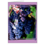 Purple Grapes Cluster cards
