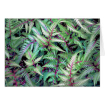PURPLE & GREEN by SHARON SHARPE cards by sharonsharpe PURPLE & GREEN by SHARON SHARPE cards