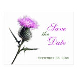 Purple Green White Thistle Save the Date Postcard