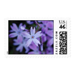 Purple Ground Flowers Postage Stamp