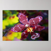 Purple Hawaiian Orchid Poster