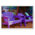 purple, chairs, wood, key, west, vacation, get,