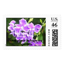 Purple Haze, My Garden Postage
