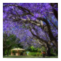 Purple Haze posters