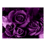 Purple Haze posters