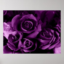 Purple Haze Poster
