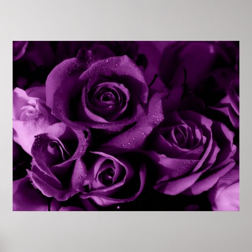 Purple Haze Poster