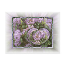Purple Heart Fowers Postcard