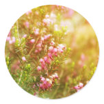 Purple Heather Stickers