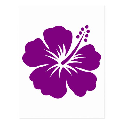 High School Entrance Essay Purple Hibiscus Essay By Fkhan Anti Essays 5 Paragraph Essay Topics For High School also Importance Of English Essay Purple Hibiscus Essays Interesting Persuasive Essay Topics For High School Students