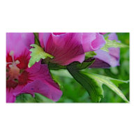 Purple hisbiscus flowers business card