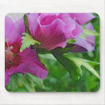 Purple hisbiscus flowers mouse pad