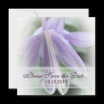 Purple Hosta Bloom Save-the-date