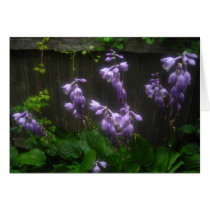 Purple Hosta Florets cards by minx267 Purple Hosta Florets cards