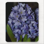 Purple Hyacinth mousepads
