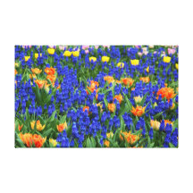Purple Hyacinth Tulips Giant Flower Canvas Stretched Canvas Prints