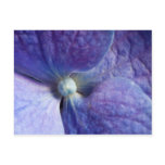 Purple Hydrangea Event And Wedding Announcement