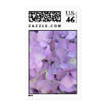 Purple Hydrangea Postage Stamps
