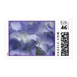 Purple Hydrangeas Postage Stamp