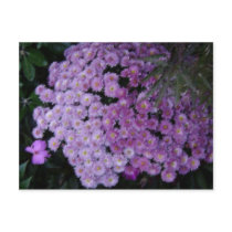 Purple Impression postcards by Softproduct Purple Impression postcards