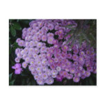 Purple Impression Postcards
