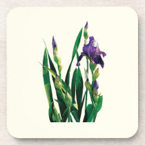 Purple Iris and Buds cork coasters
