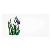 Purple Iris and Buds photo cards