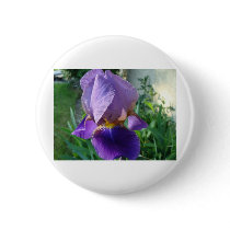 Purple Iris buttons