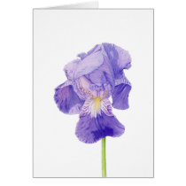 Purple Iris Card