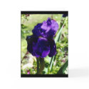 Purple Iris cards