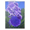 Purple Iris cards