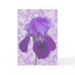 Purple Iris Card