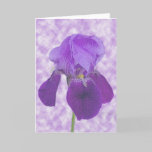 Purple Iris Card