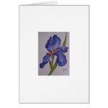 Purple Iris Cards