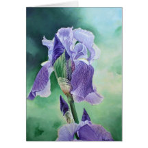 "Purple Iris" Card