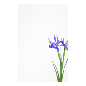 Purple Iris Custom Stationery