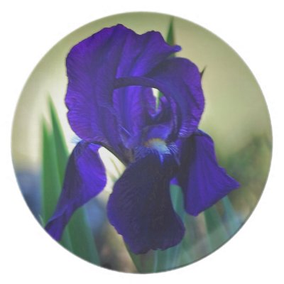 Purple iris flower and its meaning plate by TheDreamStore