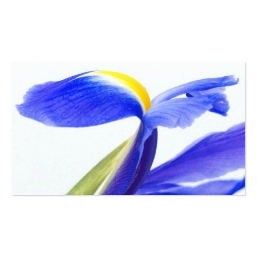 Purple Iris Flower Business Cards (back side)