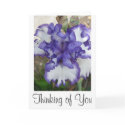 Purple Iris Flower Card, Thinking of You
