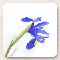 Purple Iris Flower Coaster