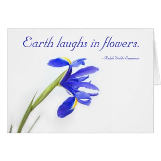 Purple Iris Flower - Earth laughs in flowers zazzle_card