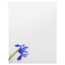 Purple Iris Flower Custom Letterhead